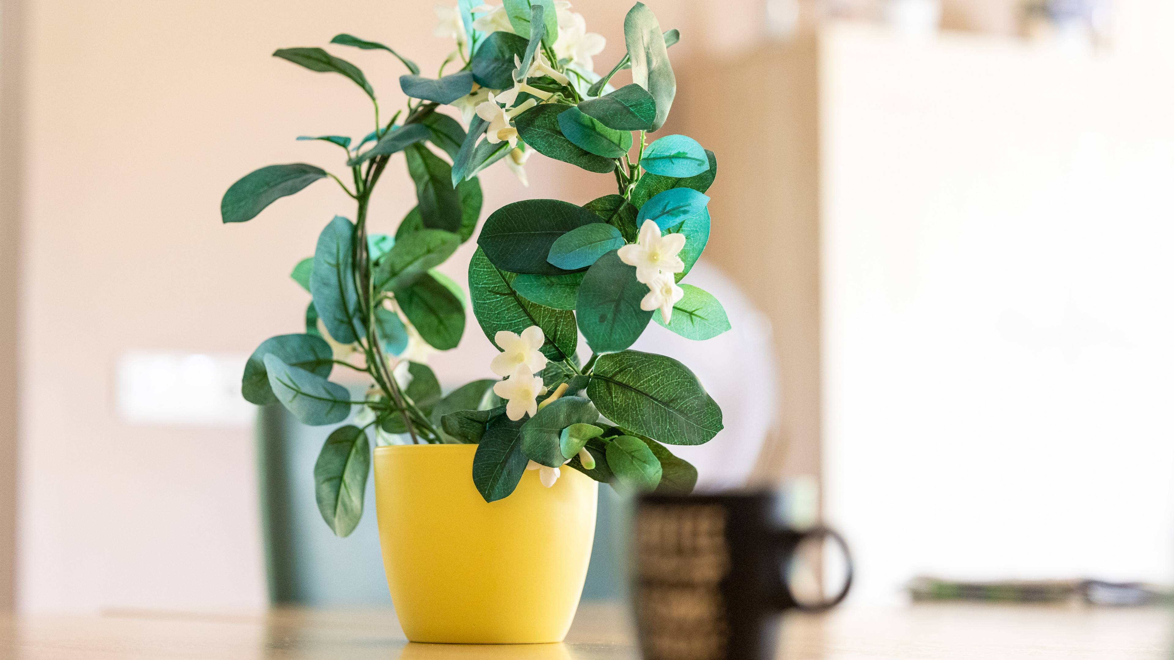 E-Learning: gratis e-learning module Wet Zorg en Dwang