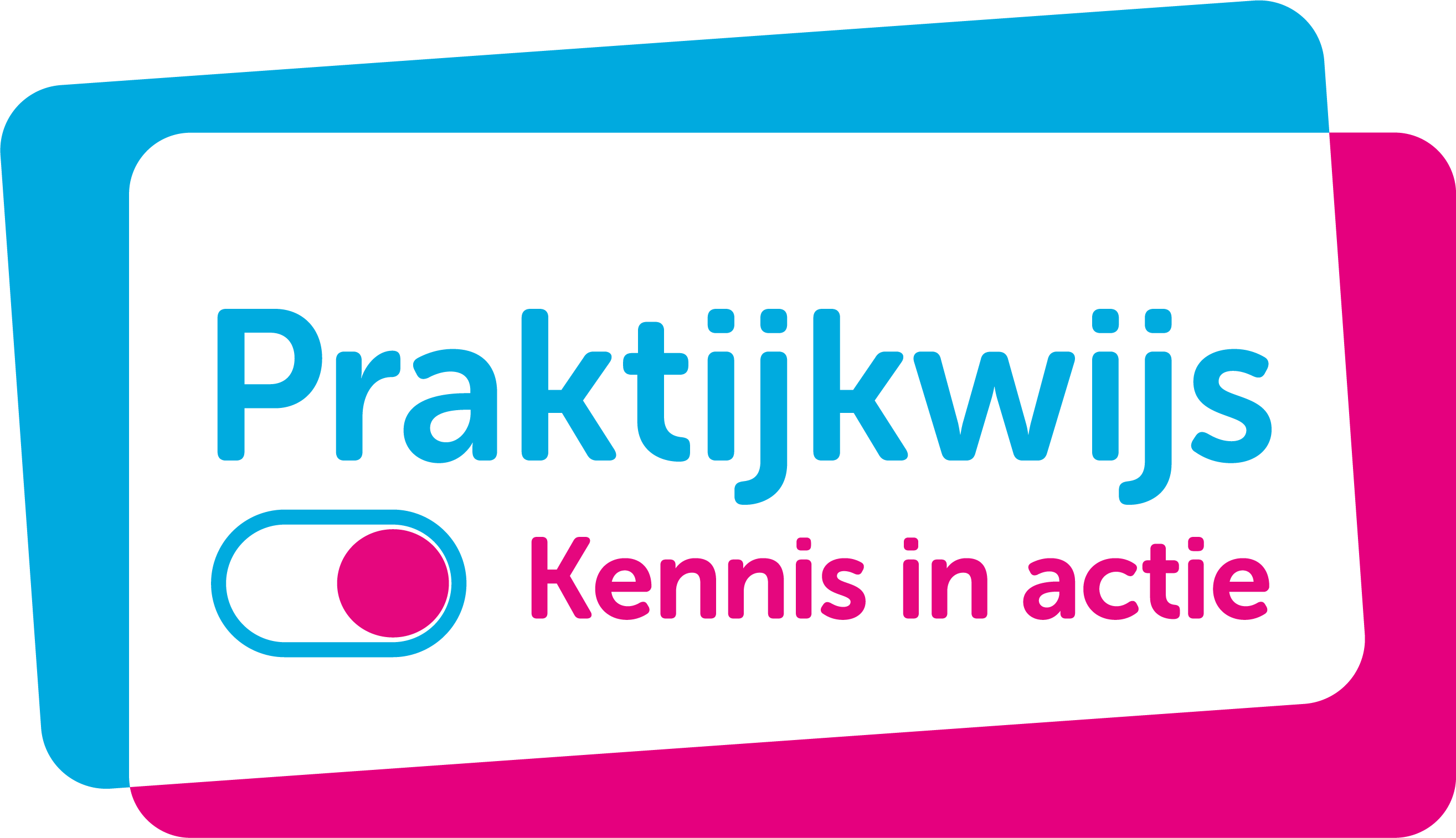 praktijkwijs-def-kader-rgb
